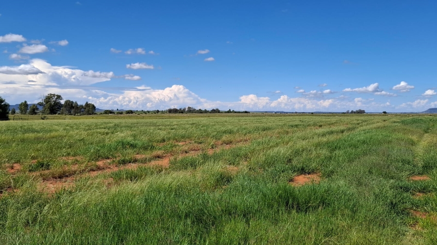  Bedroom Property for Sale in Bloemfontein Rural Free State